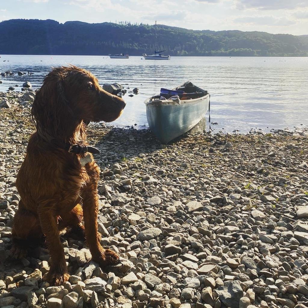 A local Muddy Paws pet-care adventure